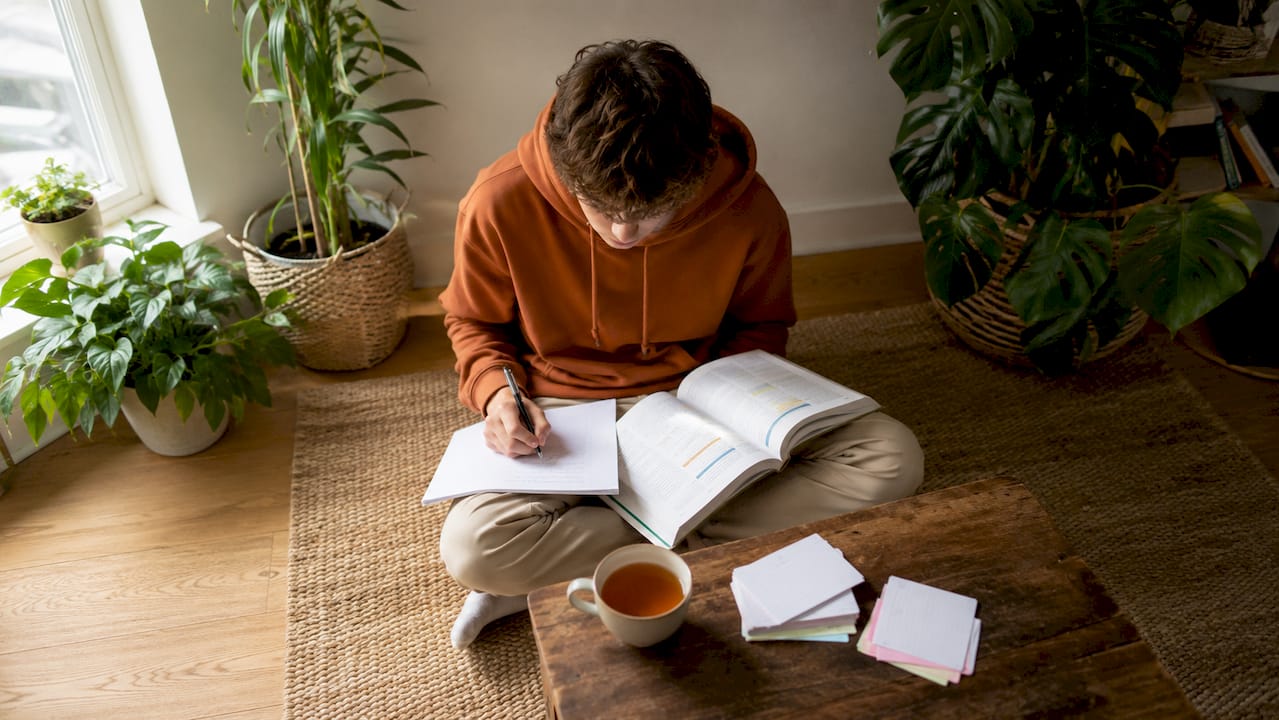 Un lycéen plongé dans ses révisions, assis à son bureau, totalement absorbé par son travail.