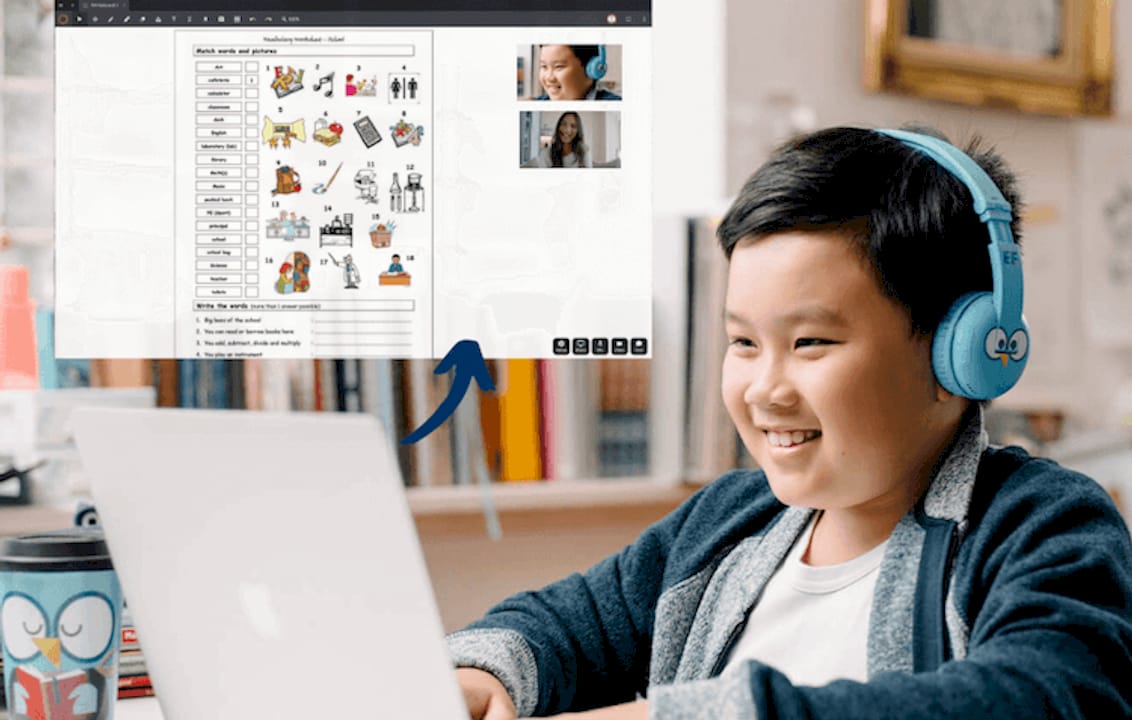 Female tutor conducting online French lesson at home