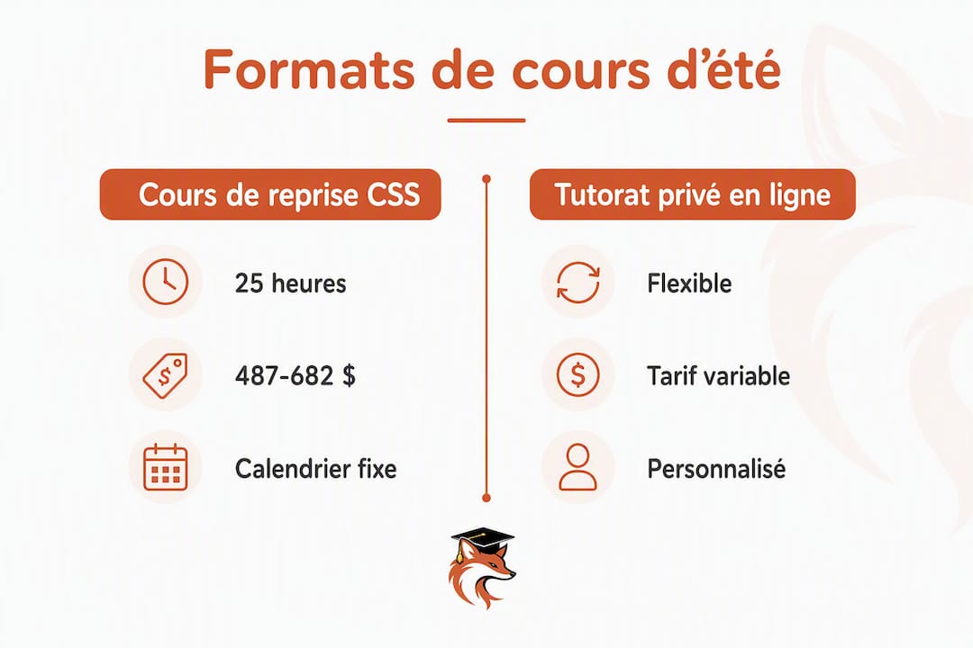 Infographie : comparatif entre les cours de remise à niveau en CSS et le tutorat en ligne